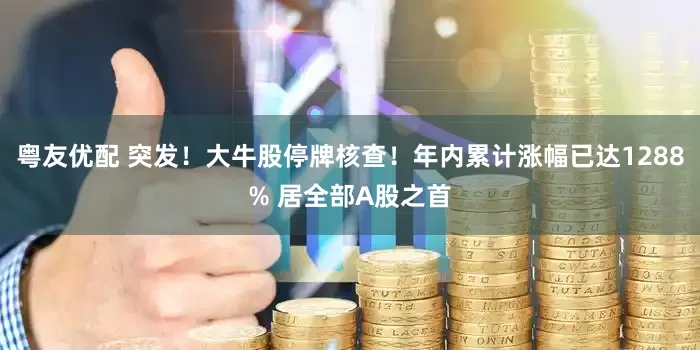 粤友优配 突发！大牛股停牌核查！年内累计涨幅已达1288% 居全部A股之首