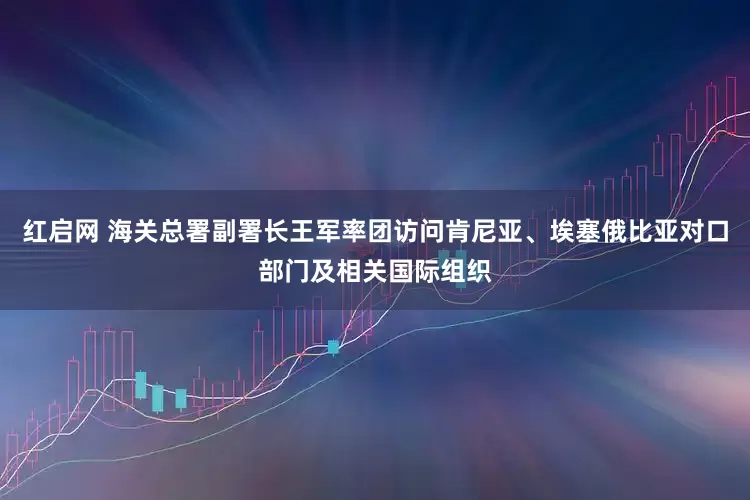 红启网 海关总署副署长王军率团访问肯尼亚、埃塞俄比亚对口部门及相关国际组织